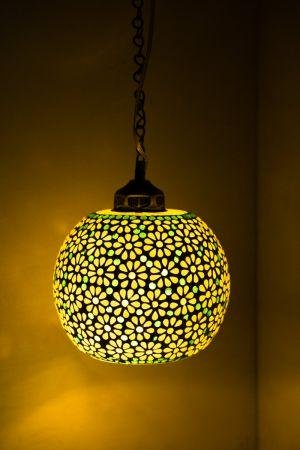 Botanical Elegance: Pendant Lamp